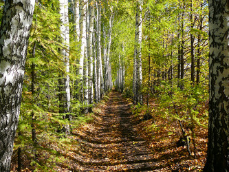 Similar image 529504