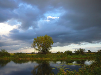 Similar image 529511