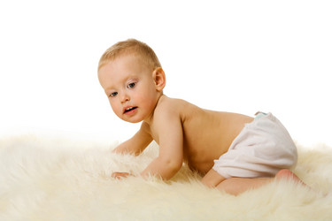 Similar image 529516