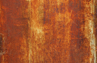 Similar image 529527