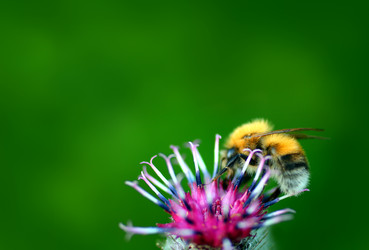 Similar image 529543