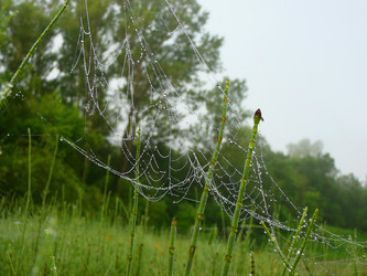 Similar image 529551