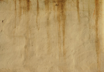 Similar image 529559