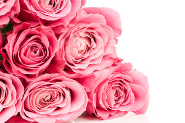 Similar image 529571