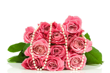 Similar image 529576