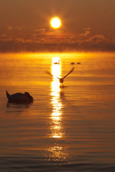 Similar image 529579