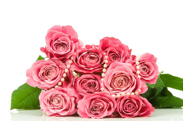 Similar image 529585