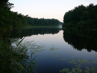 Similar image 529595