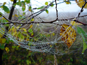 Similar image 529601