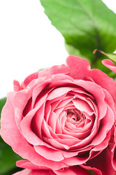 Similar image 529606