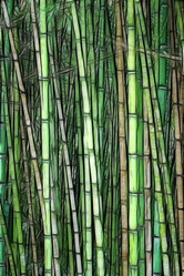 Similar image 529630