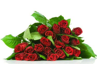 Similar image 529633