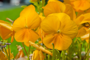 Similar image 529639