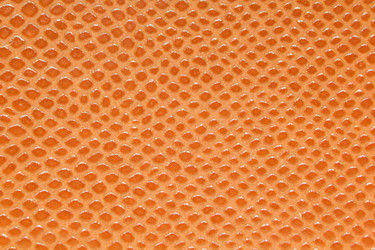 Similar image 529641