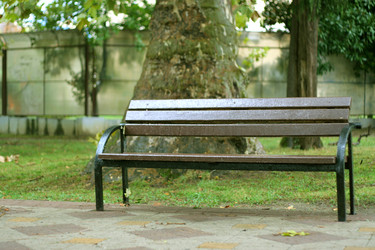 Similar image 529642