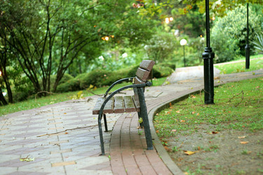 Similar image 529643