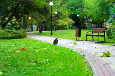 Similar image 529650