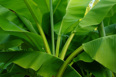 Similar image 529651