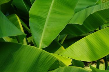 Similar image 529652