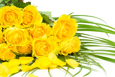 Similar image 529653