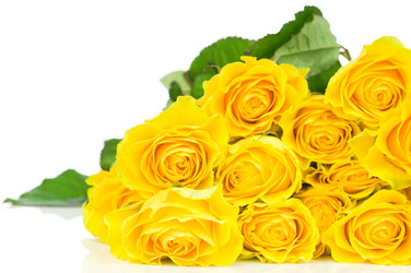 Similar image 529657