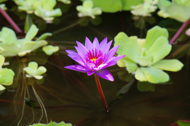 Similar image 529661