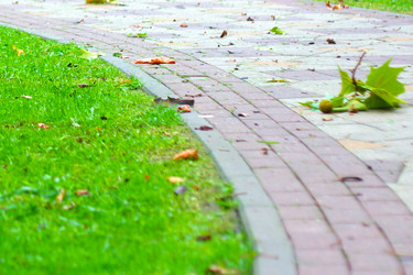 Similar image 529667