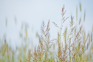 Similar image 529670