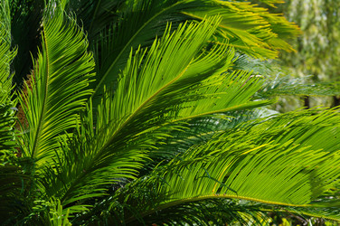 Similar image 529672