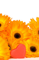 Similar image 529675