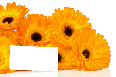 Similar image 529685