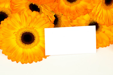 Similar image 529689