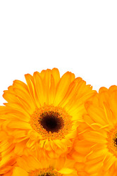 Similar image 529691