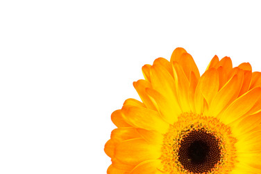 Similar image 529697