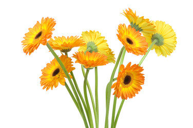 Similar image 529699