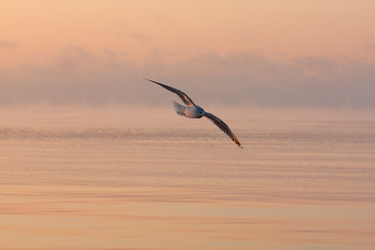 Similar image 529701