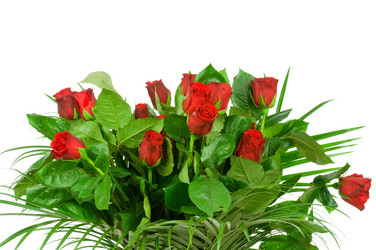 Similar image 529703