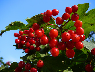 Similar image 529702