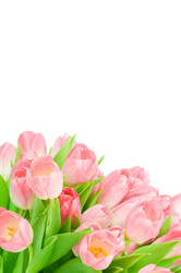 Similar image 529706