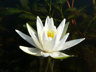 Similar image 529722