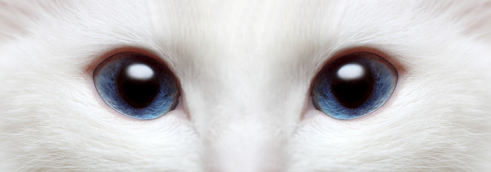 Similar image 529726