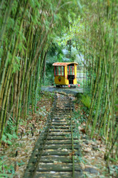 Similar image 529729