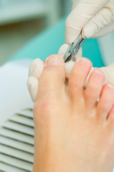 Similar image 529752