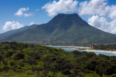 Similar image 529769