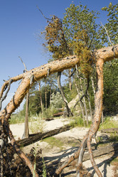 Similar image 529772