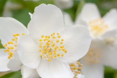 Similar image 529791