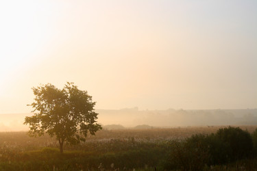 Similar image 529816