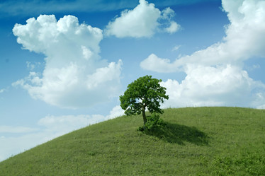 Similar image 529824