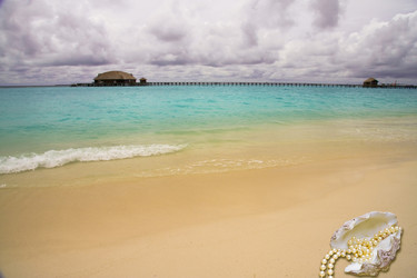 Similar image 529838