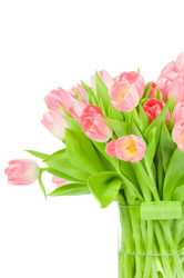 Similar image 529844